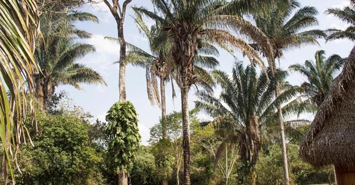 Savanna Orinoquia Lodge Orocué Exteriér fotografie